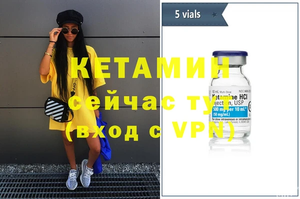 шишки Лабытнанги