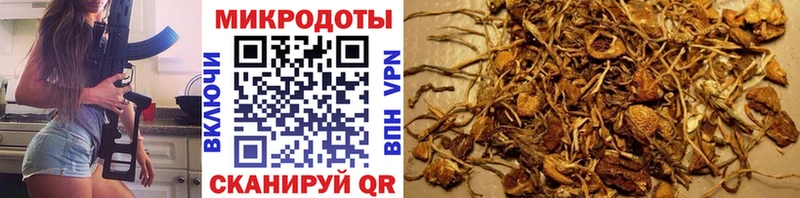Галлюциногенные грибы ЛСД  что такое наркотик  Шарыпово 
